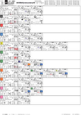 電子版