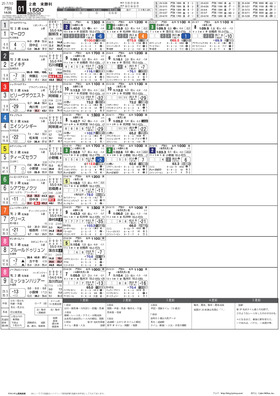 電子版