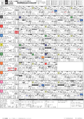 電子版