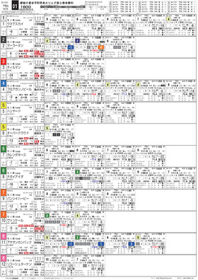 電子版