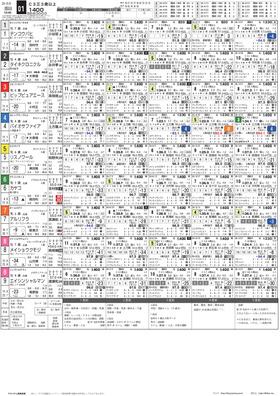 電子版