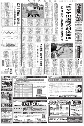 表紙画像