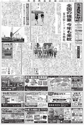 表紙画像