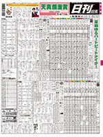電子版