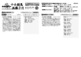 電子版