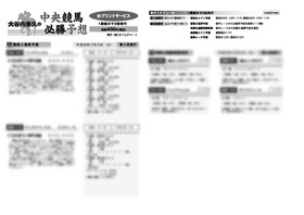 電子版