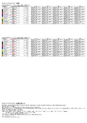 電子版