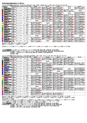 電子版