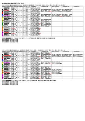 電子版