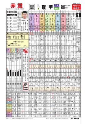 電子版