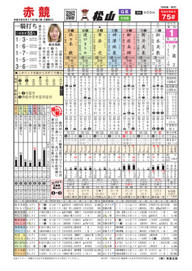 電子版