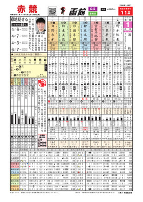 電子版