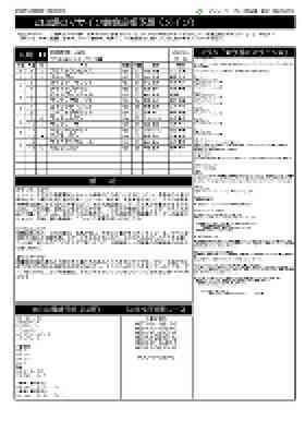 電子版