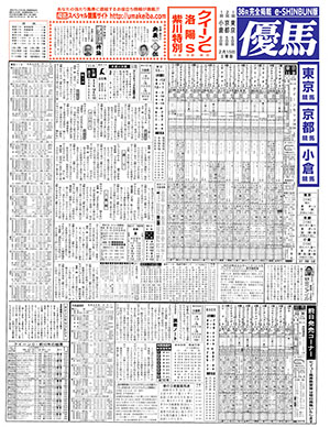 電子版