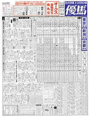 電子版