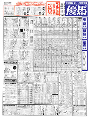 電子版