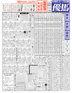 電子版