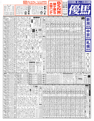 電子版