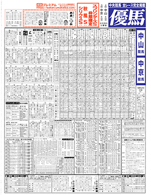 電子版