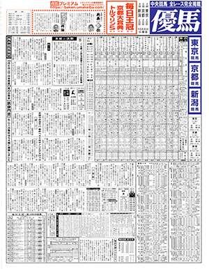 電子版