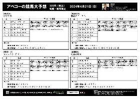 電子版