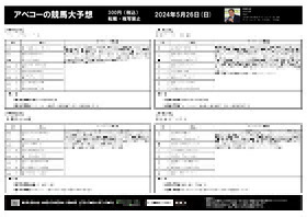 電子版