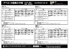電子版