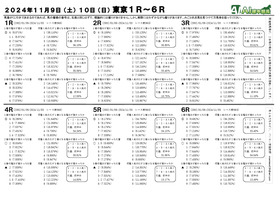 電子版