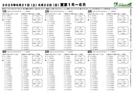 電子版