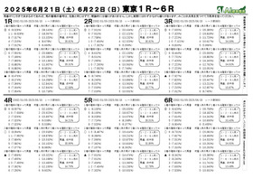 電子版