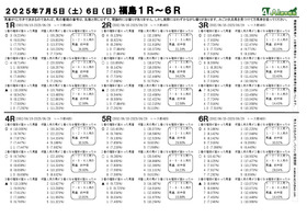 電子版