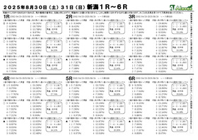 電子版