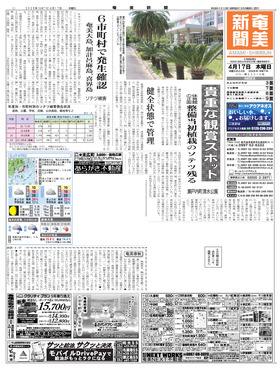 表紙画像