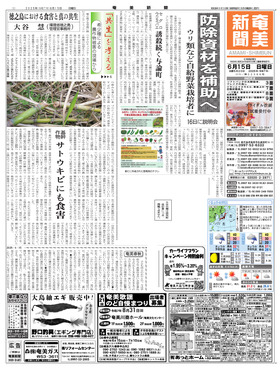 表紙画像