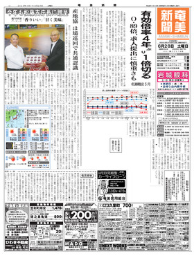 表紙画像