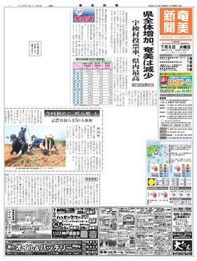 表紙画像