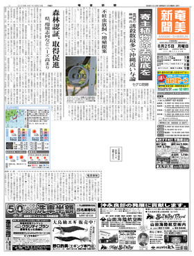 表紙画像