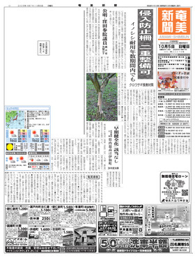 表紙画像