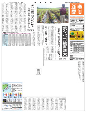 表紙画像