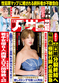 表紙画像