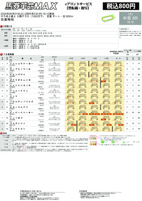 電子版