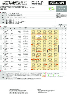 電子版