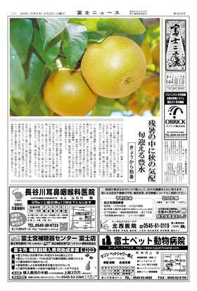 表紙画像