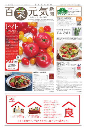 表紙画像