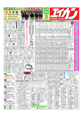 電子版