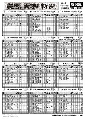 電子版