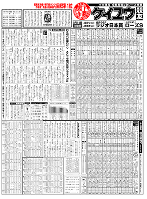 電子版