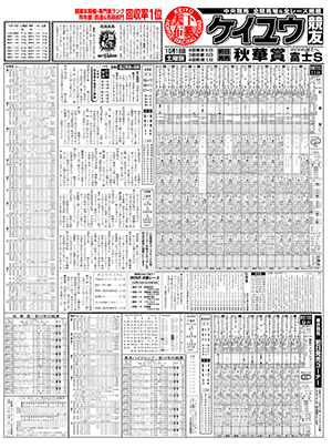電子版