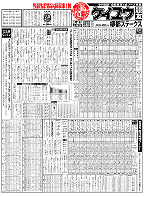 電子版