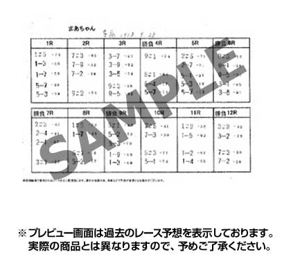 電子版